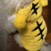 Maiの画像