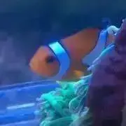 レヲンの画像