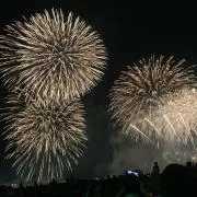 か。の画像