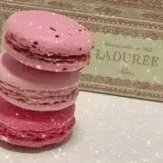 ୨୧ macaron ୨୧の画像