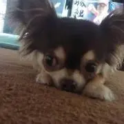 Hiro