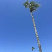 Eの画像