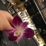 ringoの画像