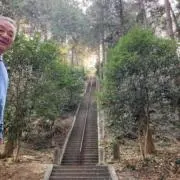 shibaの画像