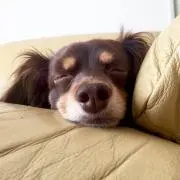 riro※プロフ必読☺︎