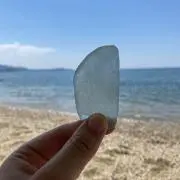 CooTの画像
