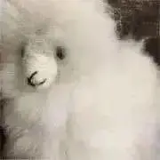 オーディンの画像