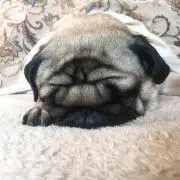 ちかの画像