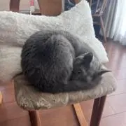 かずの画像