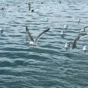 みろのん☆