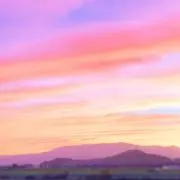 ふく