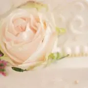 crea  ☆商品説明文コピー使用不可☆の画像