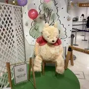 て〜ら〜　※プロフィール見てくださいの画像