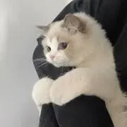 ♡