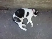 さまーぐり