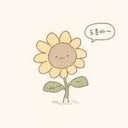 ddの画像
