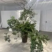 mの画像
