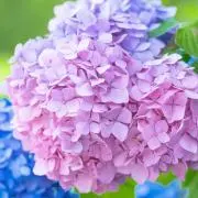 くつき♡フォロー割やってます✨の画像