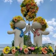 まるみの画像