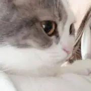 ブン丸侍。只今参上なり！