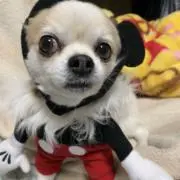 ラッキー　プロフ必読m(_ _)mの画像