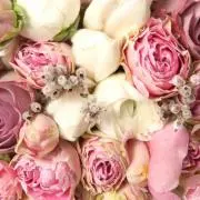 H-mama★プロフ必読の画像
