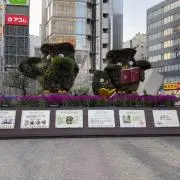 ワワワの画像