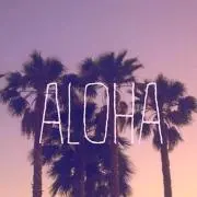 Nまま