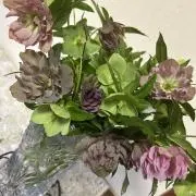 Akiの画像