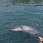 まるる