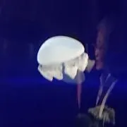 かづち