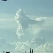 S.の画像