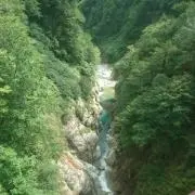 aki-taねっこの画像