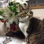 購入者様も売却者様もプロフ見て下さい！