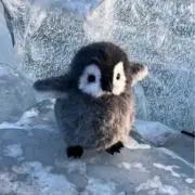 マ
