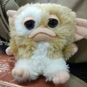 ぬん