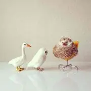めぐの画像