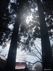 COCOの画像