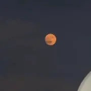 Ayrの画像
