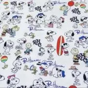 RR☆の画像