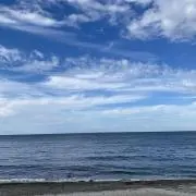 もちの画像