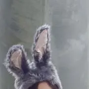 カッの画像