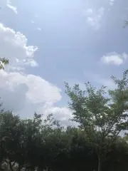 バナナ
