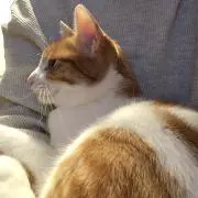 mu 購入前にプロフ必読お願いしますの画像