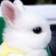 みぽみぽ