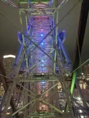 ミオの画像