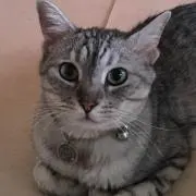 みーたんの画像