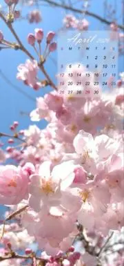 ツルムラサキ☆プロフ必読の画像