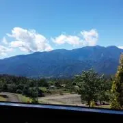 ナナの画像