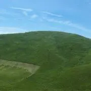 てっさの画像